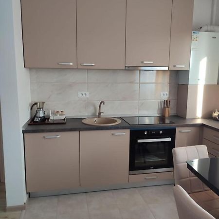 Marina'S House Apartment Ghimbav Екстериор снимка