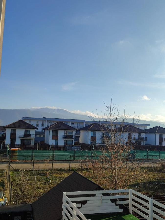 Marina'S House Apartment Ghimbav Екстериор снимка