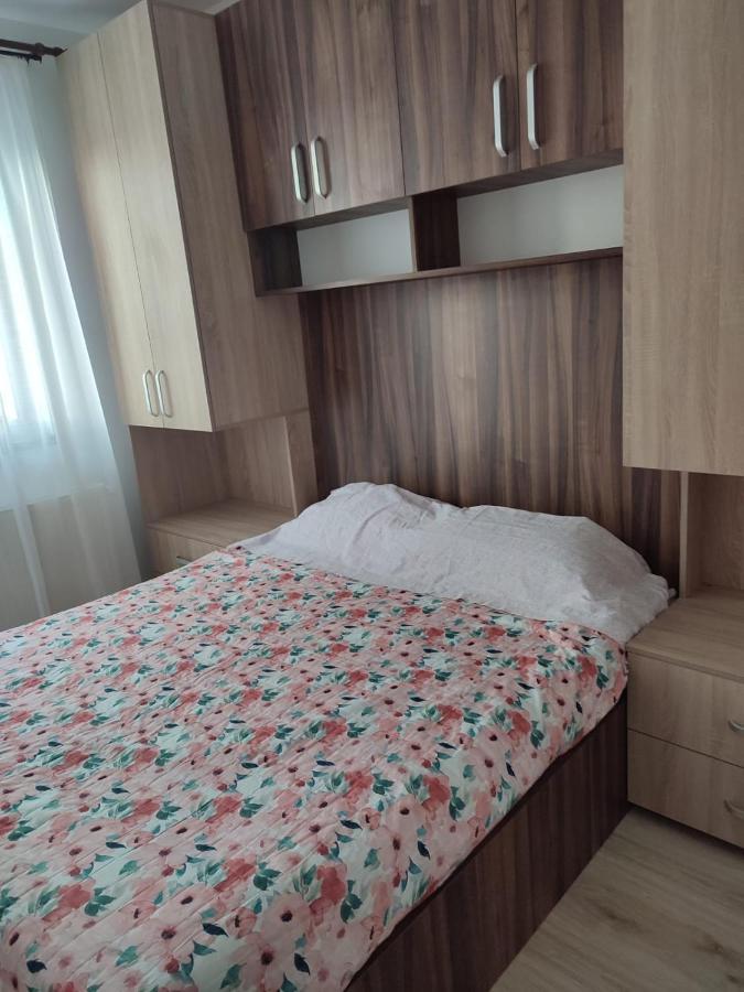 Marina'S House Apartment Ghimbav Екстериор снимка
