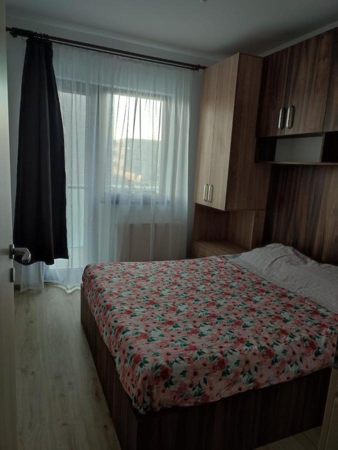 Marina'S House Apartment Ghimbav Екстериор снимка