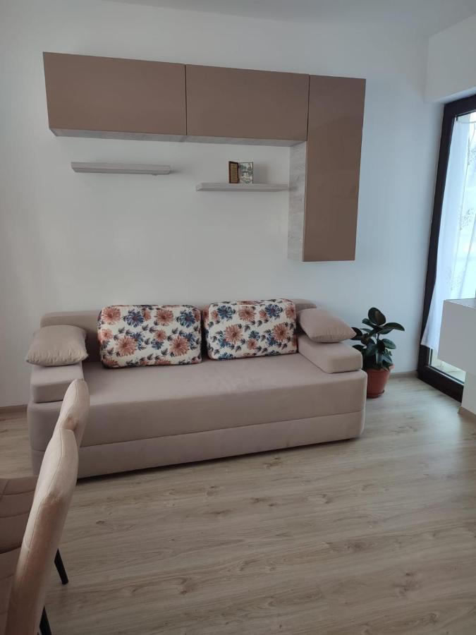 Marina'S House Apartment Ghimbav Екстериор снимка
